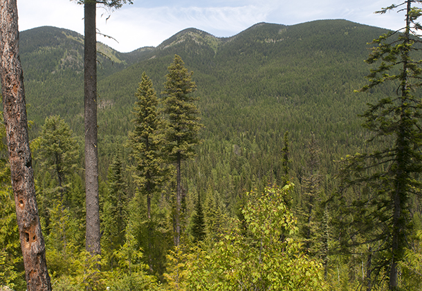 Haskill Basin Project Ranked as Top Priority in Budget