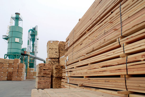 Forest Products Industry Stabilized in 2011