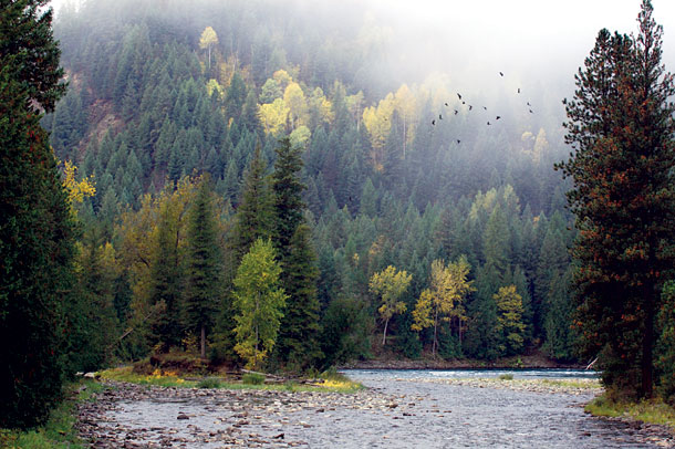 Land Deal Completed Near Troy to Protect 28,000 Acres