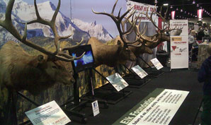 Great Elk Tour Coming to Kalispell