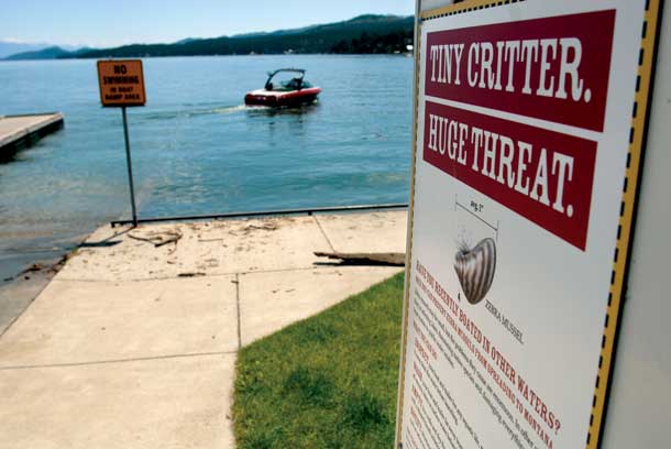 County Considers Water Quality District to Battle Invasive Species