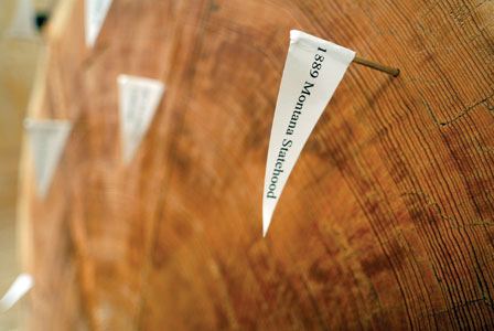 Places: The Museum at Central School