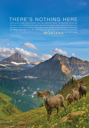 The Price of Tourism