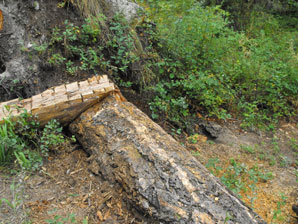 Beardance Bike Jump Vandalized