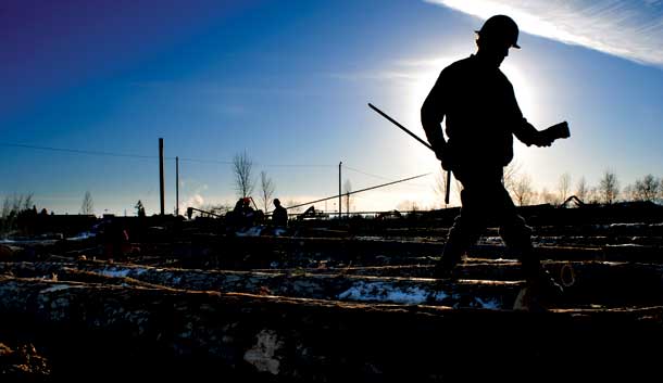 Stoltze Lumber: New Manager Surveys New Economy