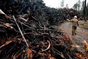 In the West, Turning Waste Wood Into Heat