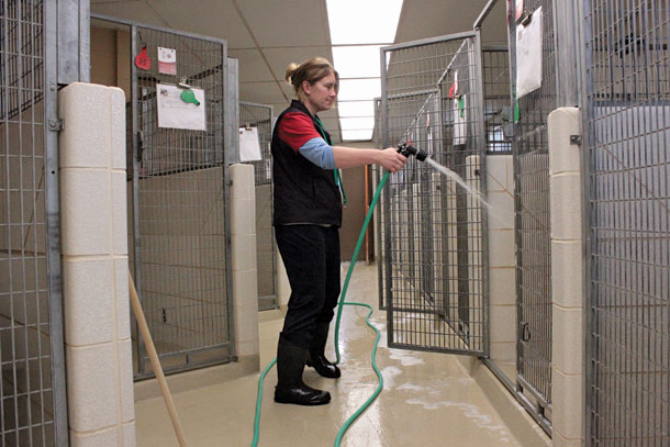 ‘Understaffed and Overcrowded,’ County Shelter Faces Challenges