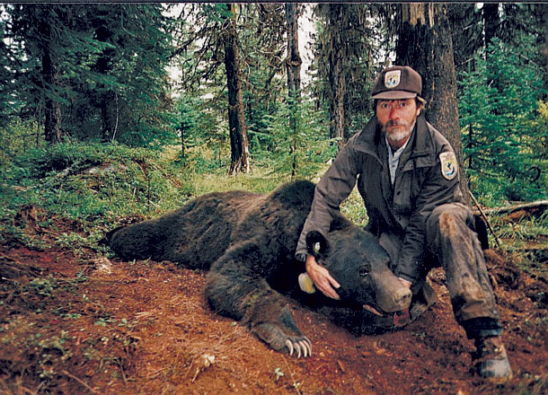 Preventing Bear Conflicts