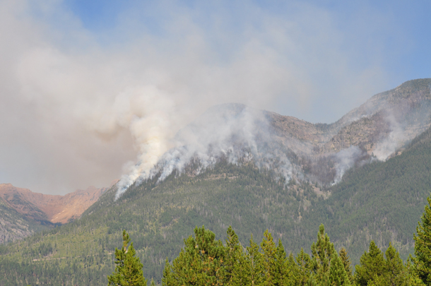 Management Team to be Dispatched to Growing Condon Mountain Fire