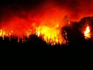 UPDATE: Evacuation Plans in Place as Condon Fire Roars to Life