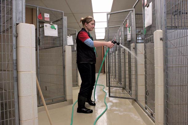 Commission Cans Joint Dog Licensing Program