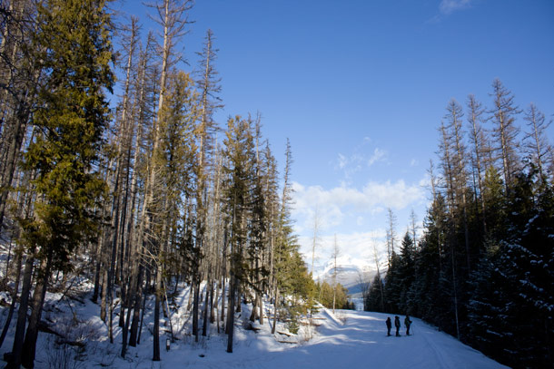 Glacier Park and Gateway Communities – Open for Business All Winter Long!