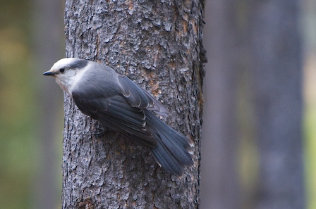 Whaaa, You Think This Is Your Personal Kitchen?
