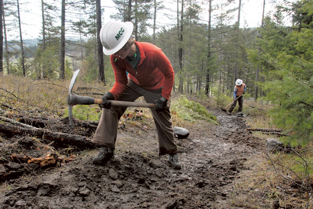County Receives $400,000 to Create Community Forest Above Herron Park