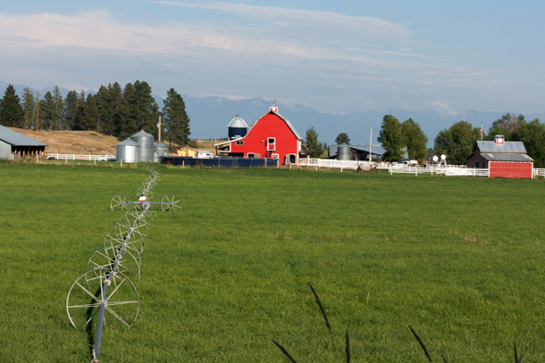 Grassroots Community Garden
