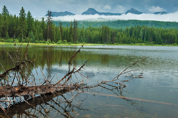 International Efforts Help Preserve the North Fork