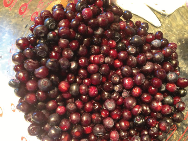 Celebrate Summer at  Huckleberry Days!